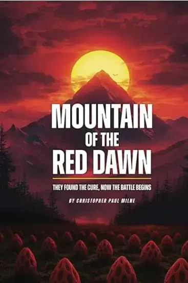 Fiction book design example 9