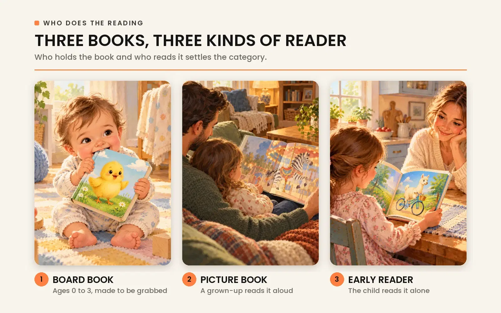 Children's book categories by reader: board books for toddlers ages 0 to 3, picture books read aloud by adults, and early readers read independently.