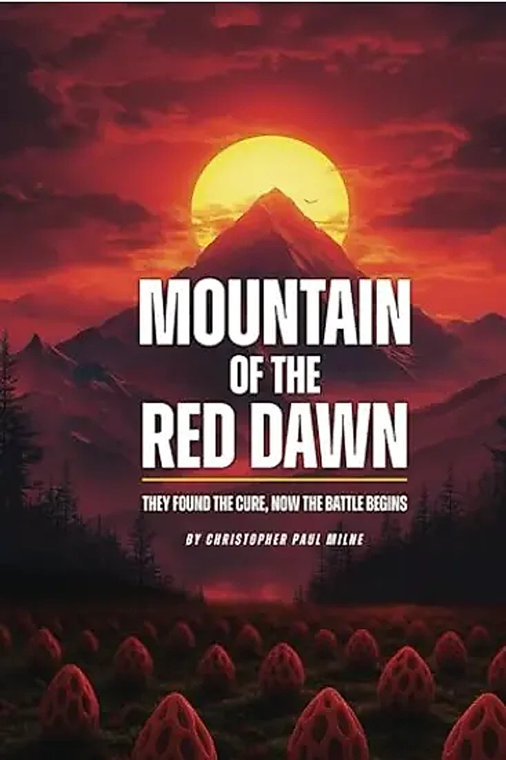 Book Cover 13