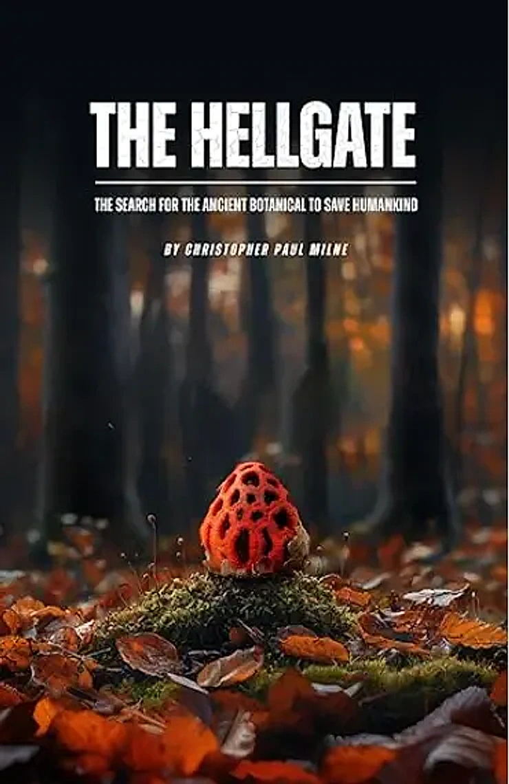 Book Cover 4